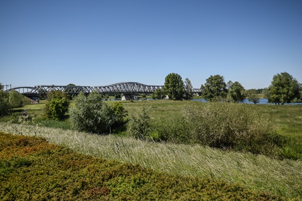 Medium property photo - Schout van Doernestraat 30, 5237 WH 's-Hertogenbosch